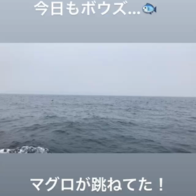 最近釣れませんの画像