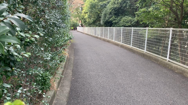 岐阜合宿とりあえずシリーズ⑨の記事動画