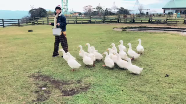 新番組がすごいんじゃ〜い！  の巻の記事動画