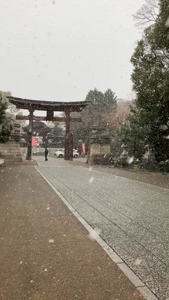 1/2(金)は広島市内　二葉の里七福神めぐりの記事動画