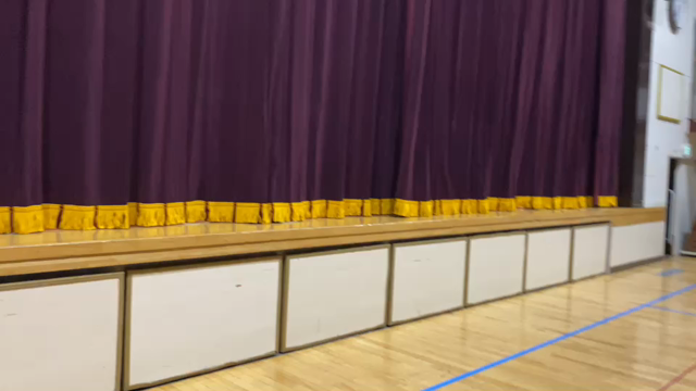 お披露目の時の記事動画