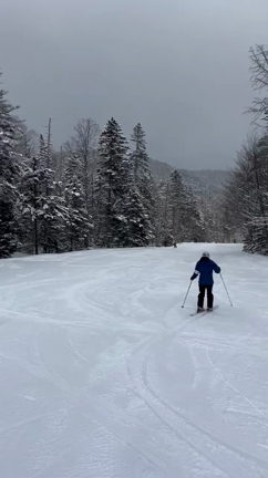 Winter Break 2の記事動画