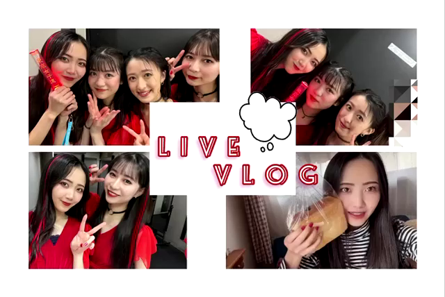 VLOGの記事動画