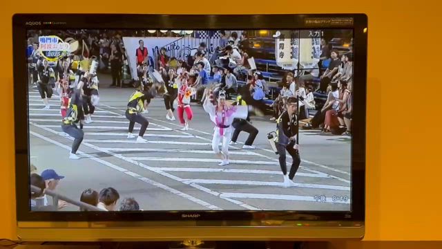 鳴門阿波おどりでの舞蝶演舞の放映の記事動画