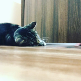 投薬　1日目の画像