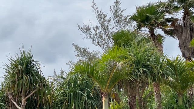 思考を変えるのではなく、環境を変えるだけで解決！の記事動画