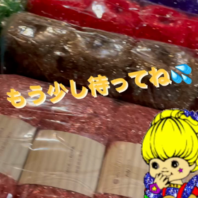 韓国からきたー(*≧▽≦)!､!の画像