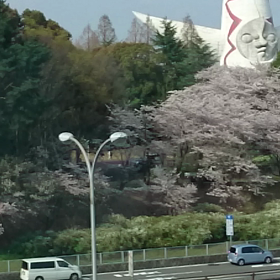 太陽の塔！！の画像
