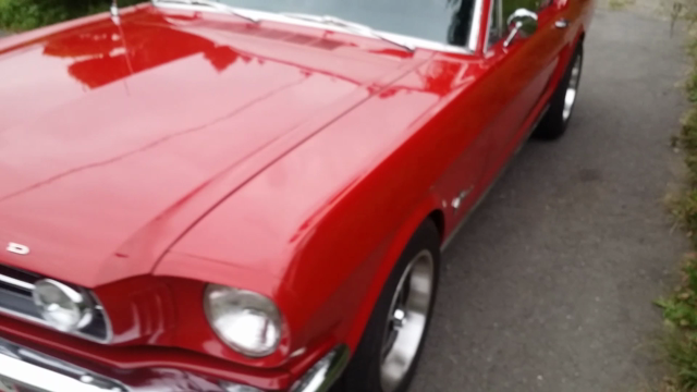 1966 Mustangの記事動画