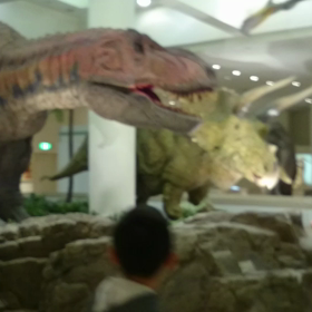 科学博物館続きの画像