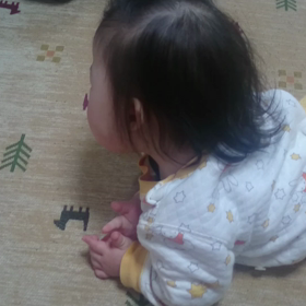 ふーちゃんが自力で移動した！の画像