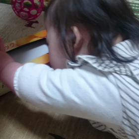 ふーちゃんの最近のおもちゃの画像