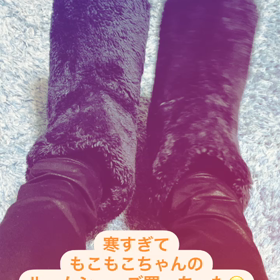 もこもこちゃんの画像