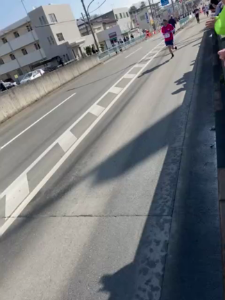 春のエプロンの記事動画