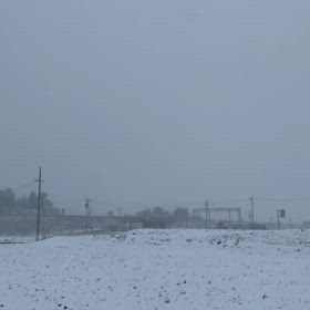 本日のお散歩　冬に逆戻りの画像