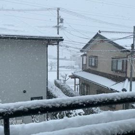 またまた、おいおい❗️の画像
