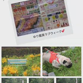 2025/05/27の画像