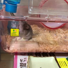 涼しい〜の画像