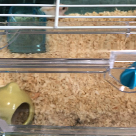 我が家へようこその画像