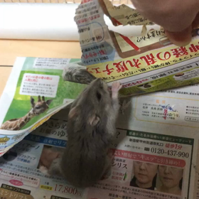 病院はしごと検査の画像