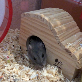 しつこいなーの画像
