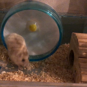 ムシムシの画像