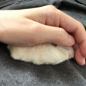 リンパその後の画像