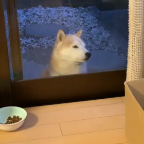 若者は大変だ…の画像