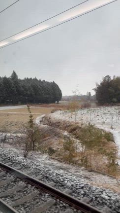 雪の中、茨城稽古への記事動画