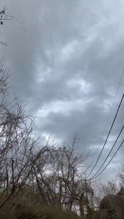 比治山にも行きました。の記事動画