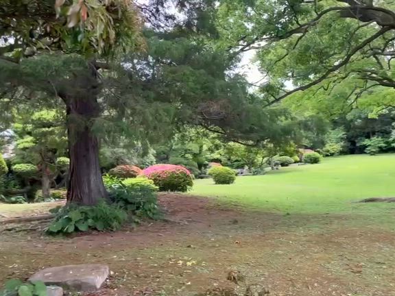日出の有形文化財(的山荘)にて希少な城下かれいをの記事動画