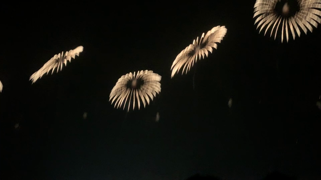 長岡花火の記事動画