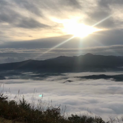 念願の雲海の記事動画
