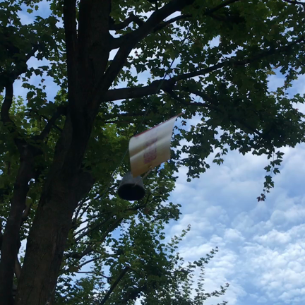 8月も猛暑に注意の記事動画
