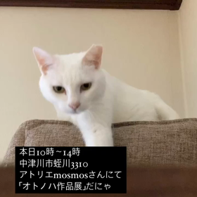2023/10/06の画像