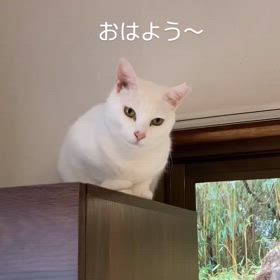 2024/03/24の画像