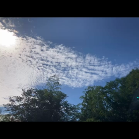 2023/08/19の画像
