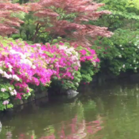 京都日帰り旅満喫！！の画像