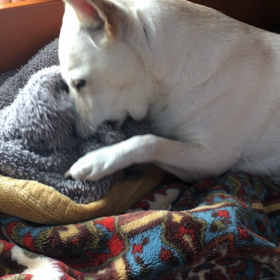 赤ちゃんみたいにいつまでも。の画像