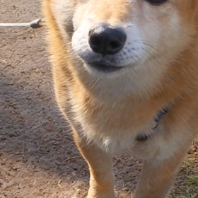 衣替えの画像
