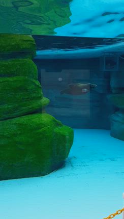 天王寺動物園 動物編の記事動画