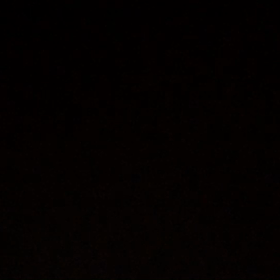 ヴィオラの男性との出逢いの画像