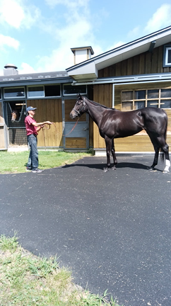 競馬ブックに山元トレセンの原稿掲載＆西山牧場阿見取材の記事動画