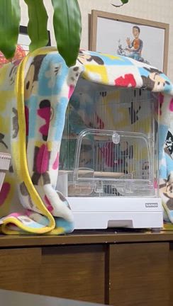 またまた覚えたょ〜！の記事動画