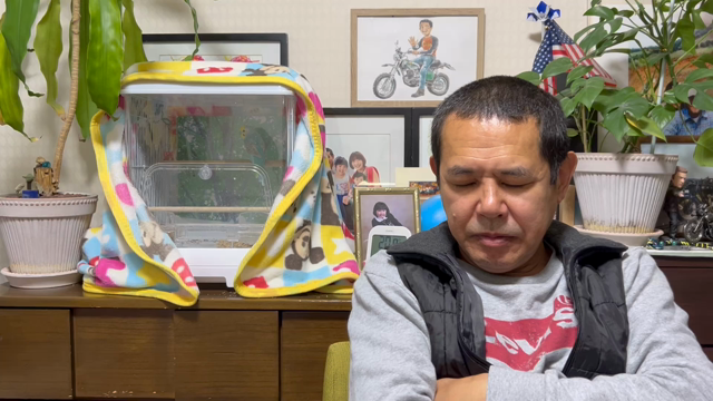 言ったよね！？の記事動画