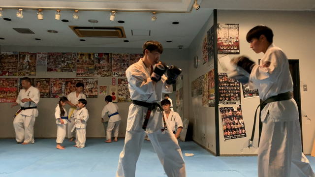 可愛い乱入者。の記事動画