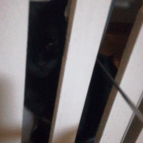 ペロペロの画像