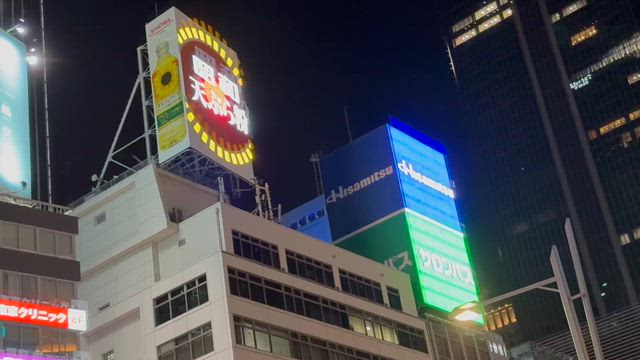 2026.04.25 東京 男女７人聖地巡礼FTTB　不死身のトンの巻の記事動画