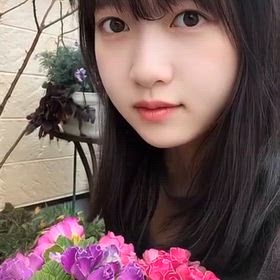 庭のお手入れの画像