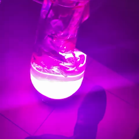 MEDUSE MIRAGE 世界最高級シーシャボトルの画像